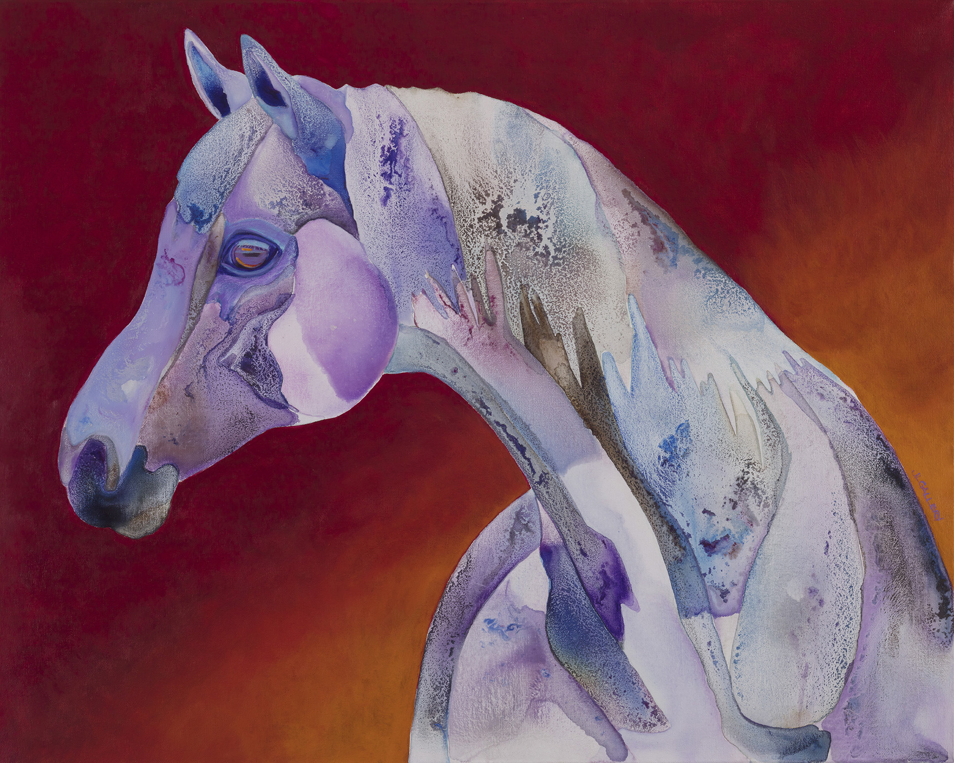 Twilight is a painting of a 24x30" acrylic painting of a purple Arabian horse using a watercolor technique. Red background.